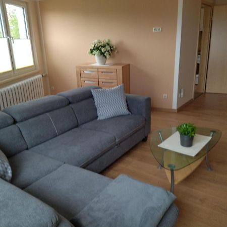 Ferienwohnung Kreuzgasse باد فرانكنهاوزن المظهر الخارجي الصورة